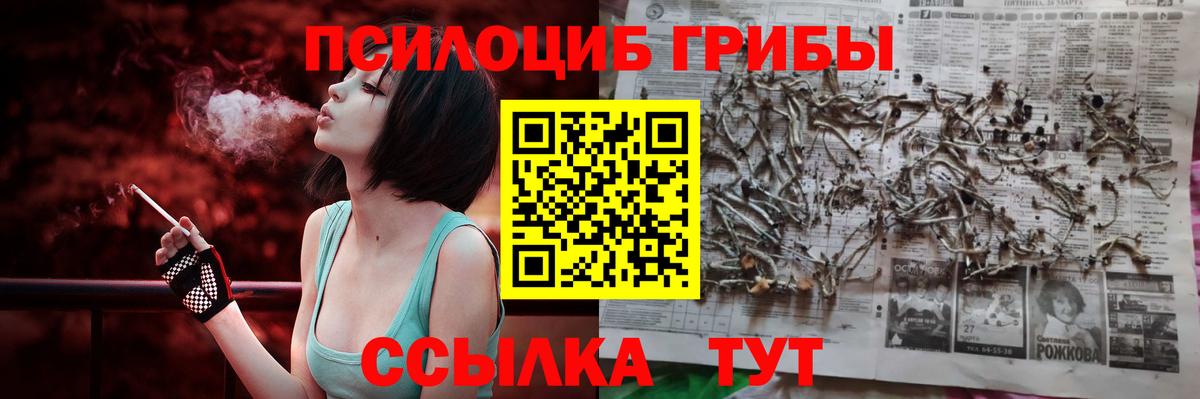 Псилоцибиновые грибы ЛСД Заволжье